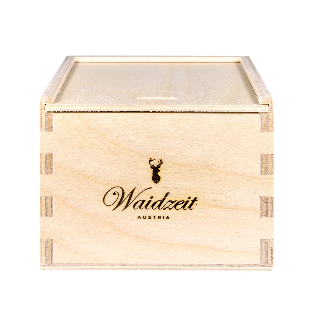 Waidzeit Saturn watch men